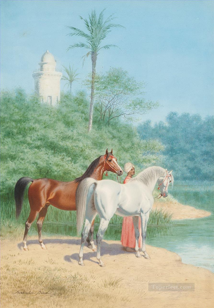 far0083D13 personnage classique Arabe Arabe chevaux Peintures à l'huile